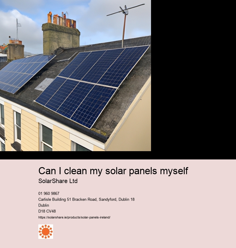 Can I clean my solar panels myself